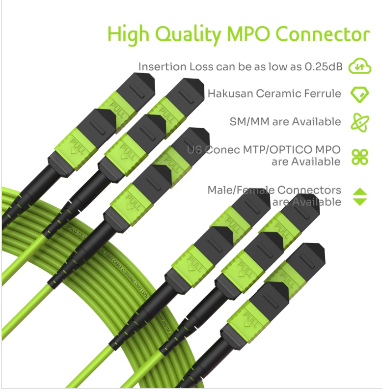 24F MPO-MPO Female OM5