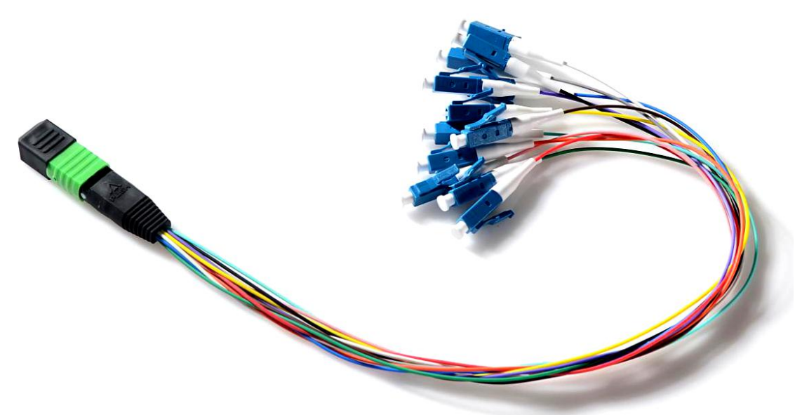 MPOMTP Fan out 0.9mm Patch Cords Specification 12core LC
