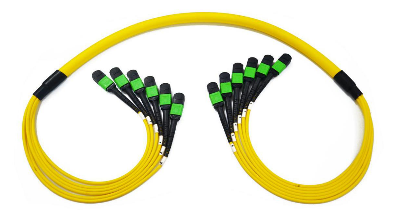 MPO&MTP Trunk Cable Specification 72core